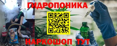 эйфоретик Аша